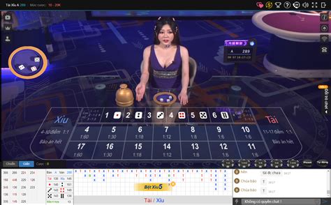 Thabet Casino 516 .